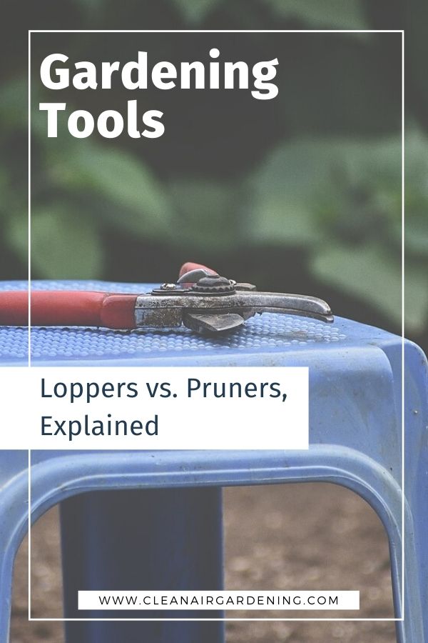 Loppers vs. Pruners, Explained Clean Air Gardening