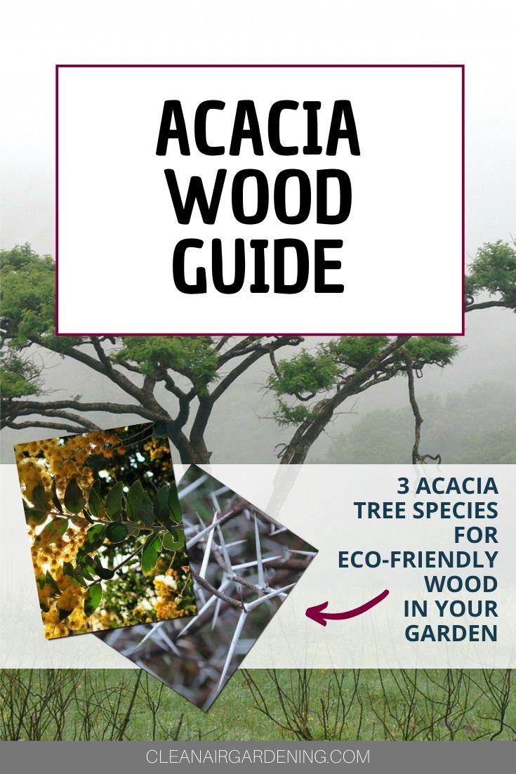 Acacia‌ ‌Wood‌ ‌Guide‌ ‌The‌ ‌Eco‌Friendly‌ ‌Guide‌ ‌to‌ ‌a