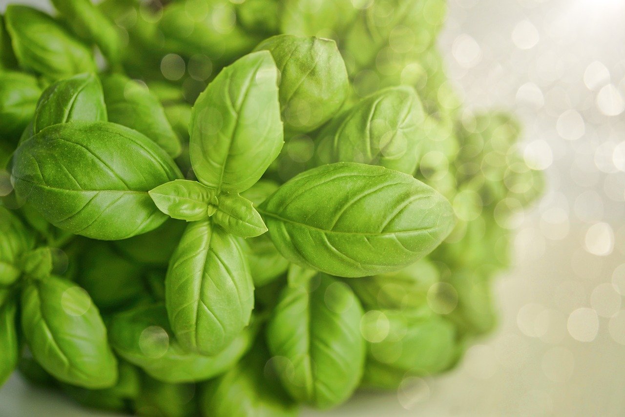 Can you freeze fresh herbs? Clean Air Gardening