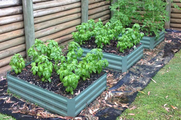being food safe and having lawn care in raised beds, self watering raised beds